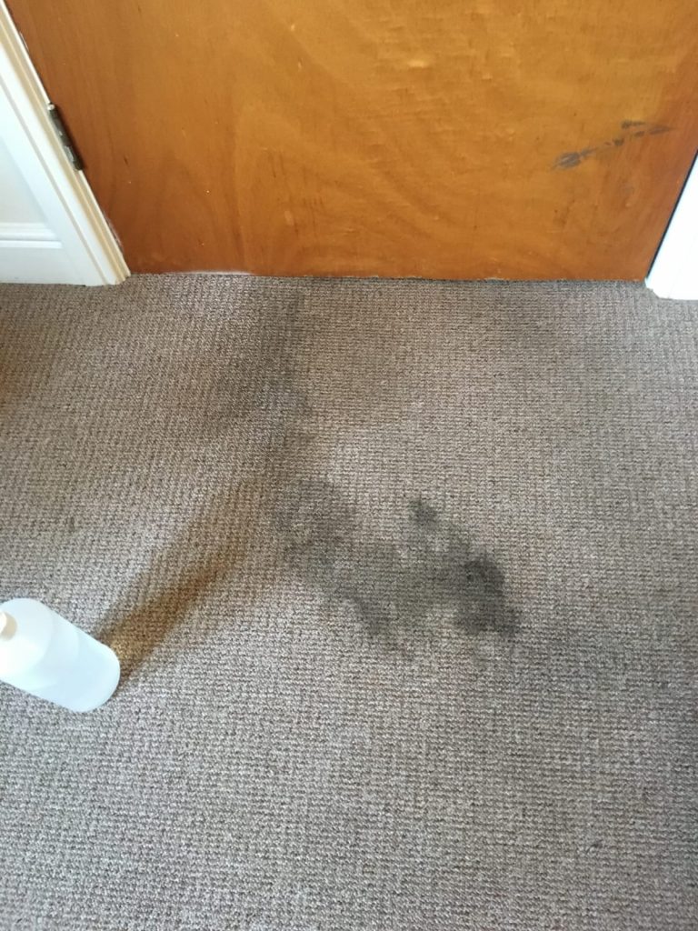 Wool Carpet Cleaning