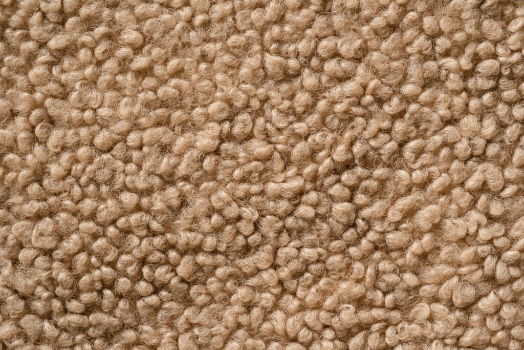 9 Tips To Keep Your Wool Carpet Looking Fresh!