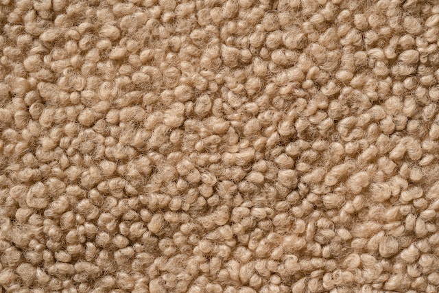 Essential Guide to Wool Carpet Cleaning: Tips and Techniques